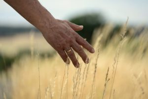 指の節を目立たなくする方法が知りたい 太い指の関節を細くする方法 手がカサカサで枯れ木みたい 手だけババア克服バイブル